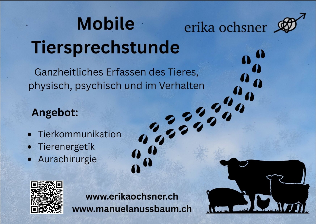 Bildschirmfoto_31-1-2026_71526_outlook.live.com